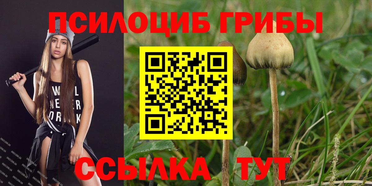 Псилоцибиновые грибы Cubensis  Вход с VPN  Жуковский 