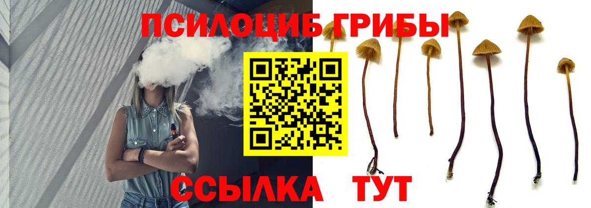 Галлюциногенные грибы Cubensis Жуковский