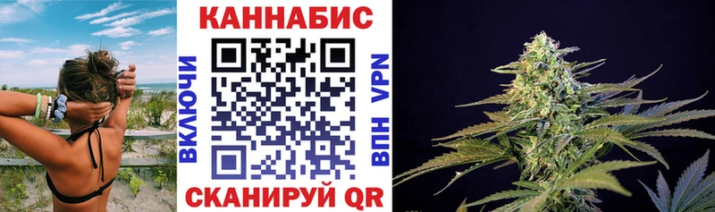 Купить где  Жуковский  Бошки марихуана SATIVA & INDICA 